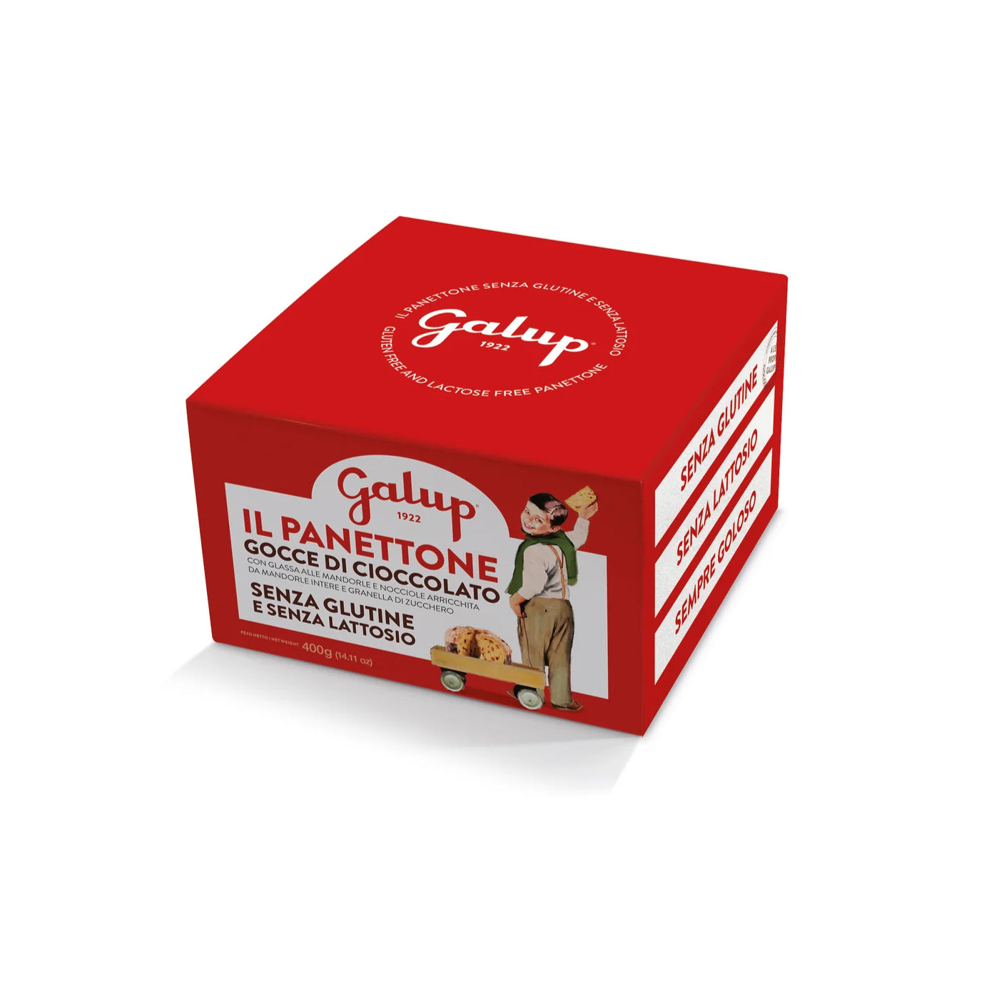 Gran Galup Gluten And Lactose Free Panettone With Chocolate Drops