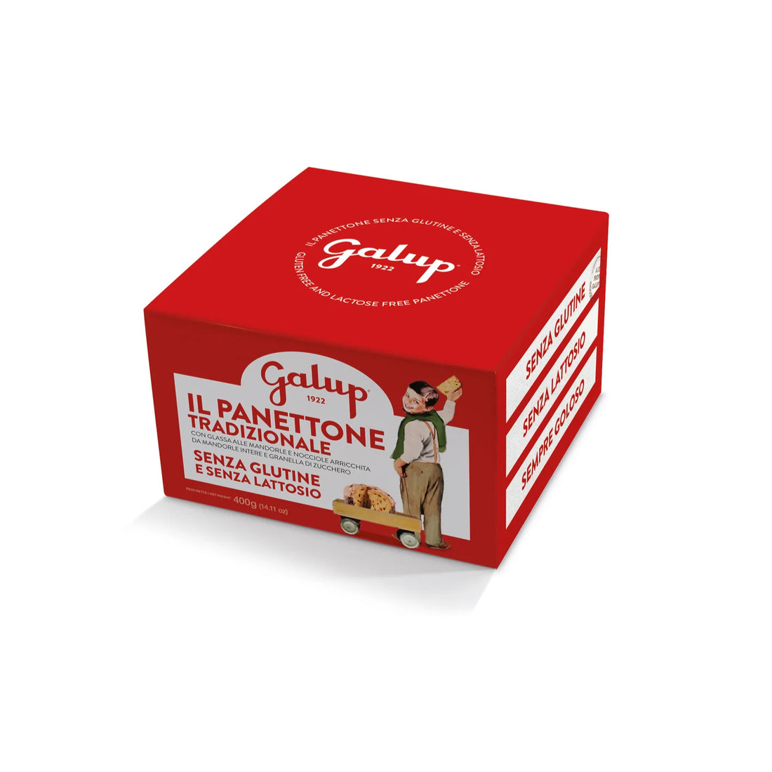 Panettone Gran Galup senza glutine e senza lattosio